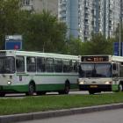 Автобусы в Ростове